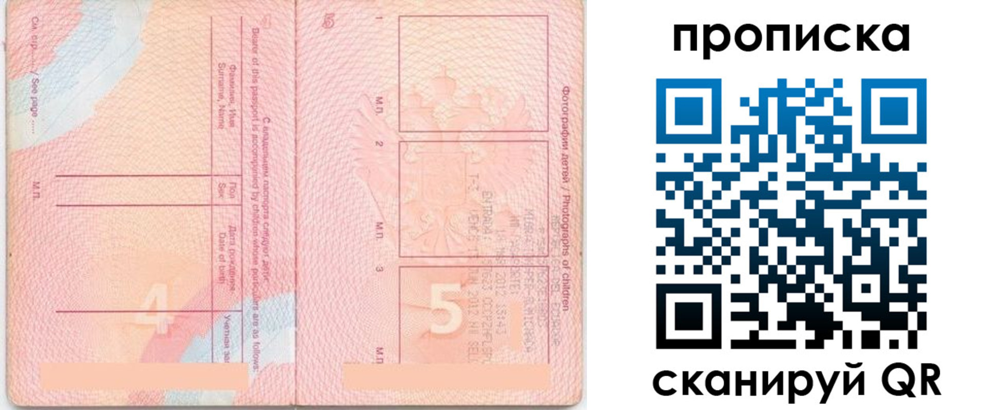 прописка законно в Ставрополе